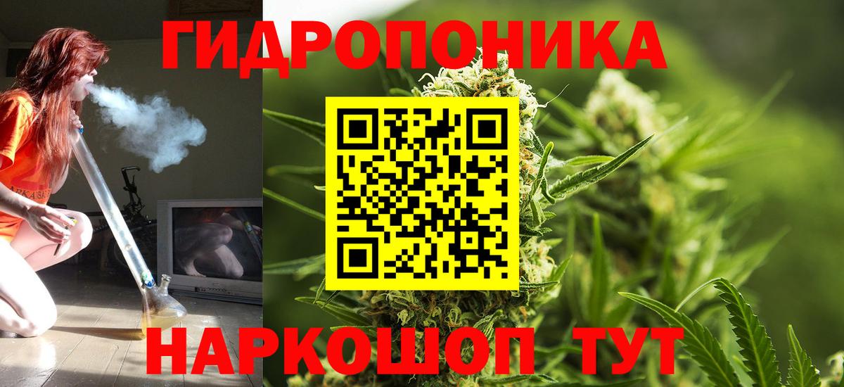 Каннабис MAZAR Куйбышев